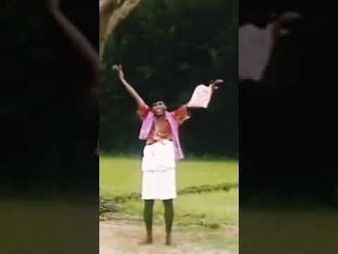 Iruntha Oorukku Illana Samikku | Vadivelu Comedy | Whatsapp Status | Rsk Entertainment 🎥