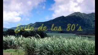 BertinOsborne_SiTuSupieras_con LETRA