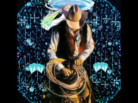 Boiadeiro Águas Claras