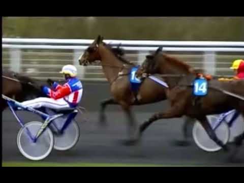 Il Cavallo Più Forte Di Tutti I Tempi/ Varenne 🐴