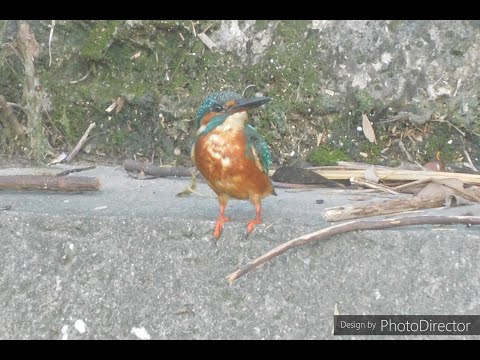 雰囲気: 新しい研究で劇的な発見が明らかに – 「強力な渦」