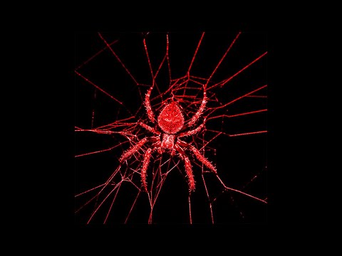 [FREE] Post Punk x Cold Wave x Alternative Rock Type Beat - ‘SECRET ISLAND’