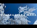 ️ Elurra Mara Mara ️