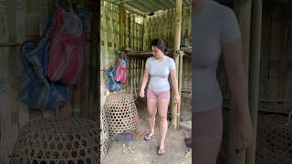 Download lagu Kasi makan ayam mp3