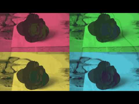 Il coraggio delle donne