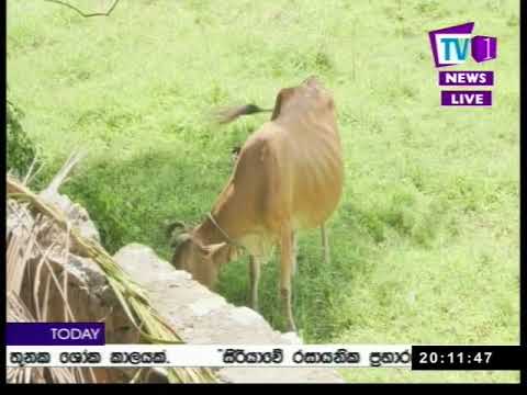 Prime Time News Sinhala TV1 - 8PM (12-04-2018)