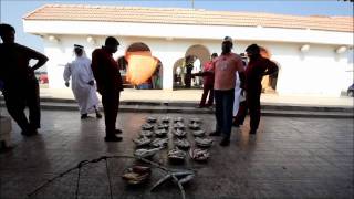 preview picture of video 'سوق السمك بأم القيوين.wmv'