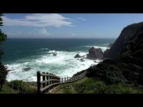蒲生田岬