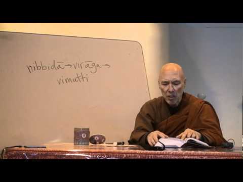 Majjhima Nikaya (MN 22: part 3, section 1, 2010.4.24) Bhikkhu Bodhi.MPG