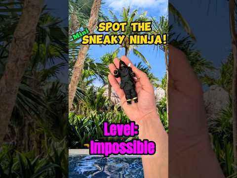 Mini Paradise #SneakyNinja #challenge #puzzle #HiddenObject #Game #hideandseek #Ninja #findit #Today