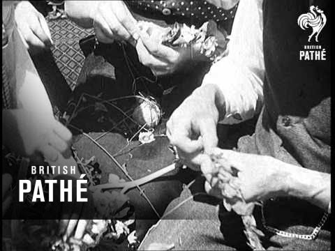 The Feast Of The Flowers (1934)