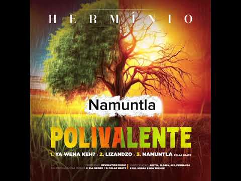 Herminio - Namuntla @Herminio_Official #herminio2025 amapiano2025
