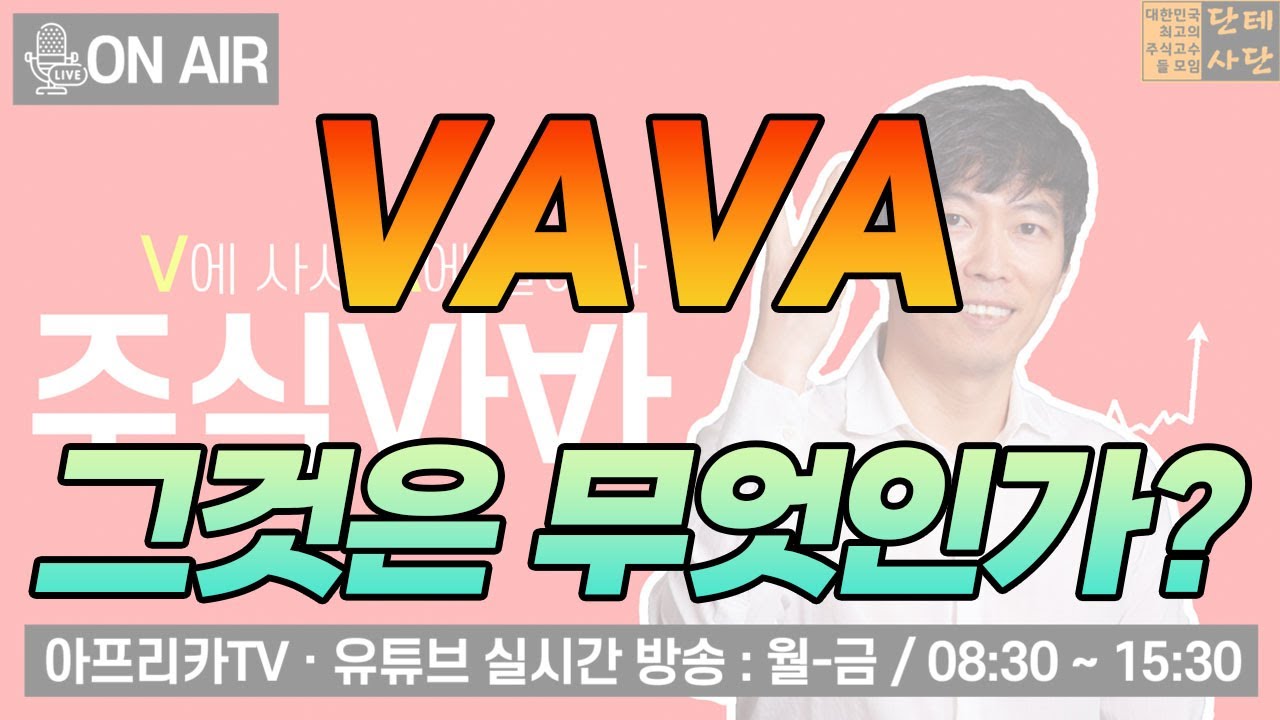 VAVA 그것은 무엇인가?