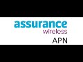 Assurance Wireless APN Settings