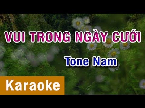[Karaoke Beat] Vui Trong Ngày Cưới - Tone Nam