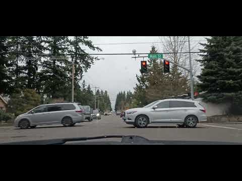 BELLEVUE,WASHINGTON SEATTLES' WEALTHY SUBURB CHIT CHAT