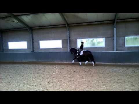 El Diva FW 05/03/2015 schakeltraining draf