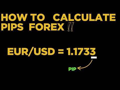 How To Calculate Pips Forex Trading For Beginners Every Market Easy