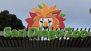 San Diego Zoo Guided Tour 2024