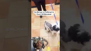 #doggroom #petsmart #doglife