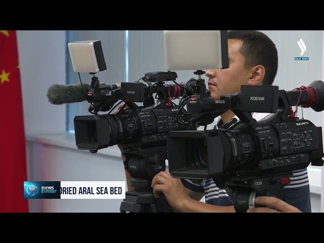 Қытайлық ғалымдар тартылып кеткен Арал теңізін жасылдандыруға көмектеседі