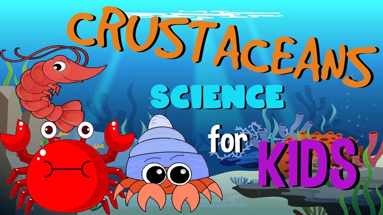 What is the special adaptation of a crustacean?