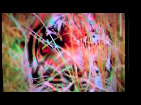 High Kite OFFICIAL - Mark Boulle and the Haba Dudes