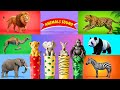 Safari Animal Sounds Song Nursery Rhyme For Kids Learn Animal Names And Sounds