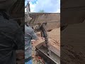 Excavators assist in pouring concrete #shorts