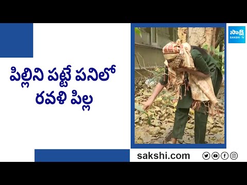 Garam Ravali Funny Skit on Japan Cat | Garam Garam Varthalu |@SakshiTV