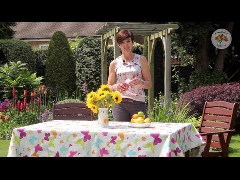 download lagu mp3 mp4 Acrylic Coated Cotton Tablecloth, download lagu Acrylic Coated Cotton Tablecloth gratis, unduh video klip Acrylic Coated Cotton Tablecloth