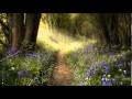 Lunar In Forest - Bandari 