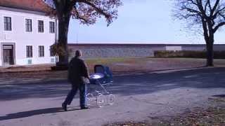 preview picture of video 'Kinderwagen DDR Zekiwa Gondelkinderwagen Favorit blau'