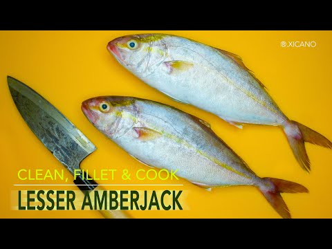 CLEAN, FILLET, & COOK ||LESSER AMBERJACK || CRISPY AND BUTTERY FRIED FISH W/ SWEET POTATO FRIES