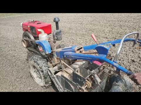 maize seed plantation by bed planter