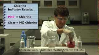 Chlorine, Hair, and Skin - PROOF that SwimSpray Removes Chlorine!