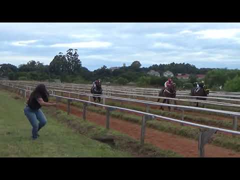 I GP JOAQUIM PAVOSKI DAPPER - 450M - 4 QUALIFYING ROUND - CARAZINHO - NANICO