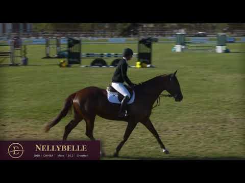 Nellybelle Flatwork