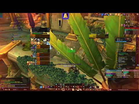 Holy Paladin +15 Atal Dazar POV