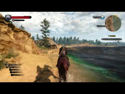 ASUS GX800 巫師三 遊戲畫面