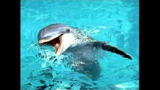 Smash By: Jolly Green Giant and GGM