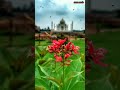 Pass Milu Tujhe Chahe Bina Full Song