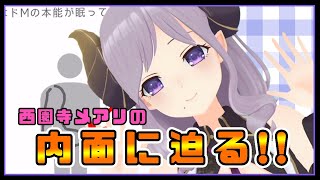 【心理テスト】西園寺メアリの内面が丸わかりに!?【西園寺メアリ/ハニスト】