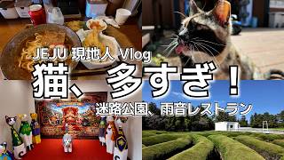 迷路で遭難？！済州島の猫天国が可愛すぎて幸せだった...🐱🍃(日本語字幕)