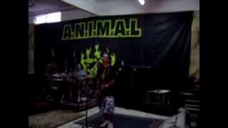 A.N.I.M.A.L - Esperando el final (Ensayo)