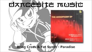 Brian Cross & Fat Synth - Paradise