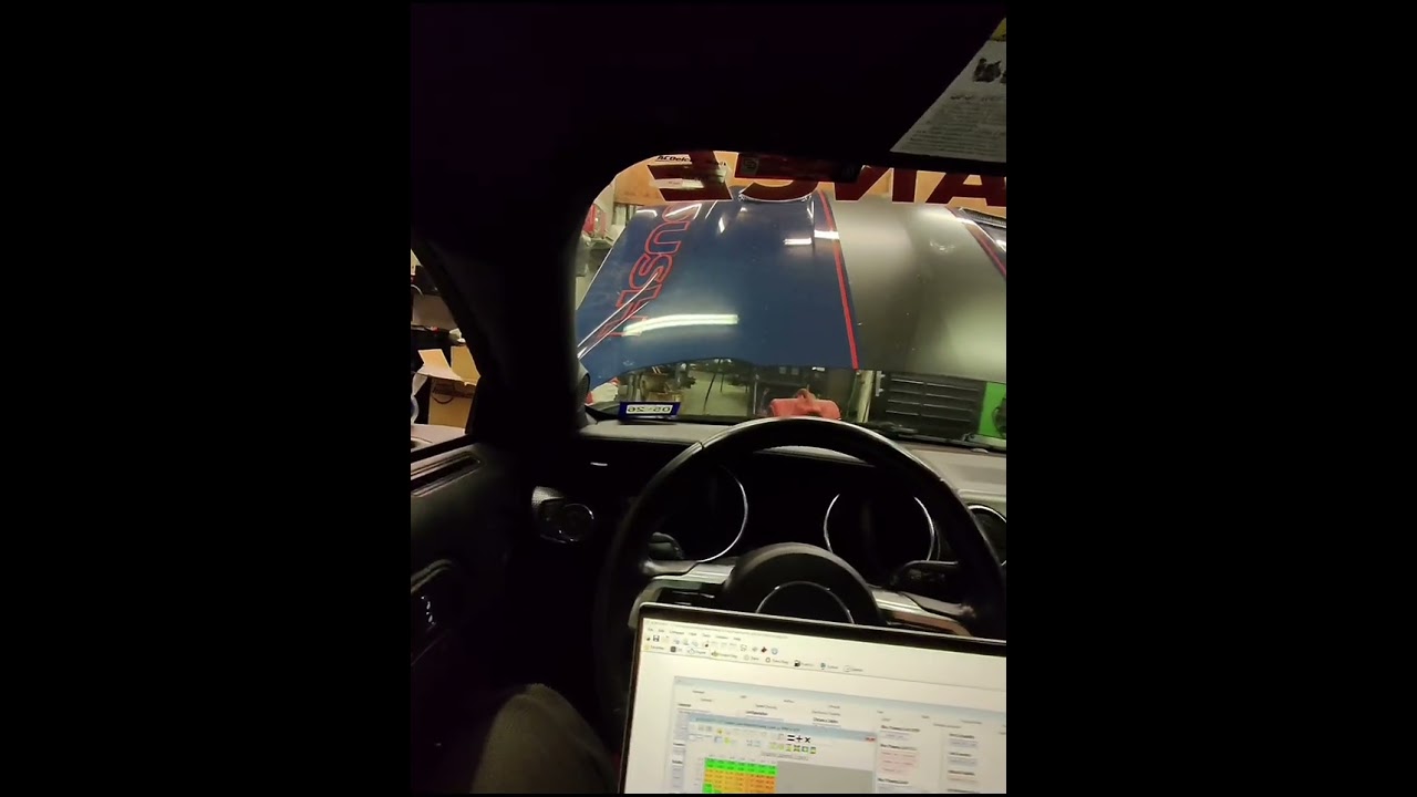 TX Elite Auto and Performance