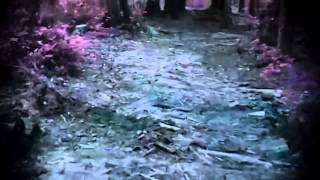 Hannes Wader - Unterwegs nach Süden