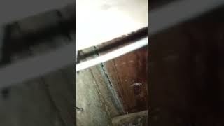 Download lagu SUARA INAP INI CEPAT WALET BIKIN SARANG LINK DIBAWAH #Shorts mp3 Download lagu SUARA INAP INI CEPAT WALET BIKIN SARANG LINK DIBAWAH #Shorts mp3