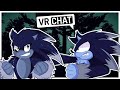 Movie Sonic The Werehog And Modern Sonic The Werehog Train Together In VRCHAT